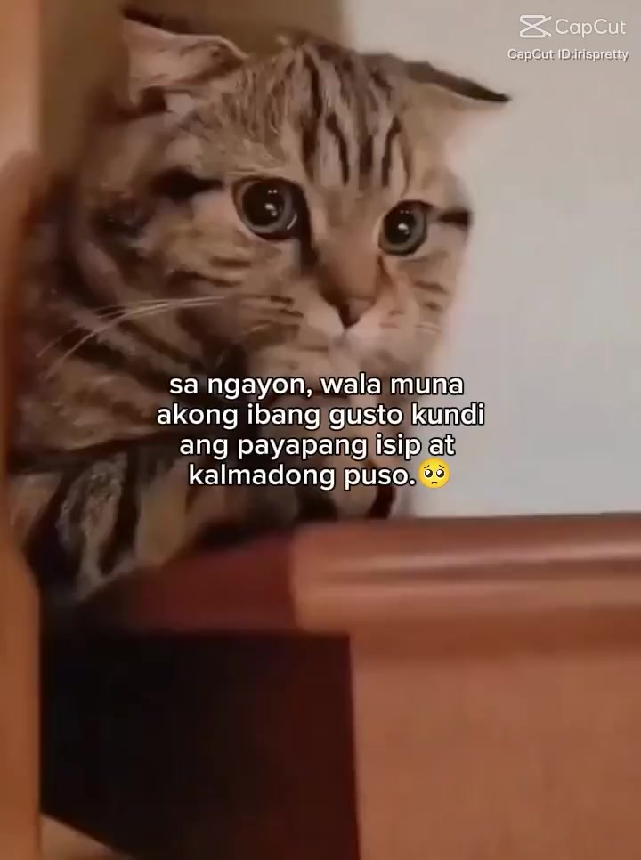 @Payeeeng