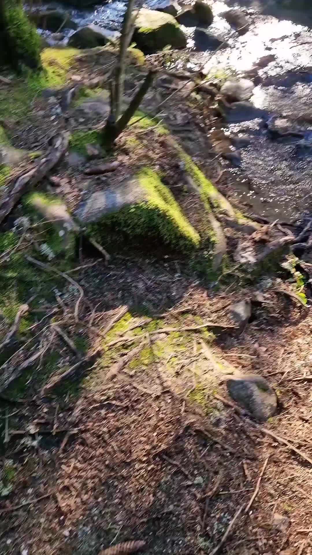@Magala&iuml;e59