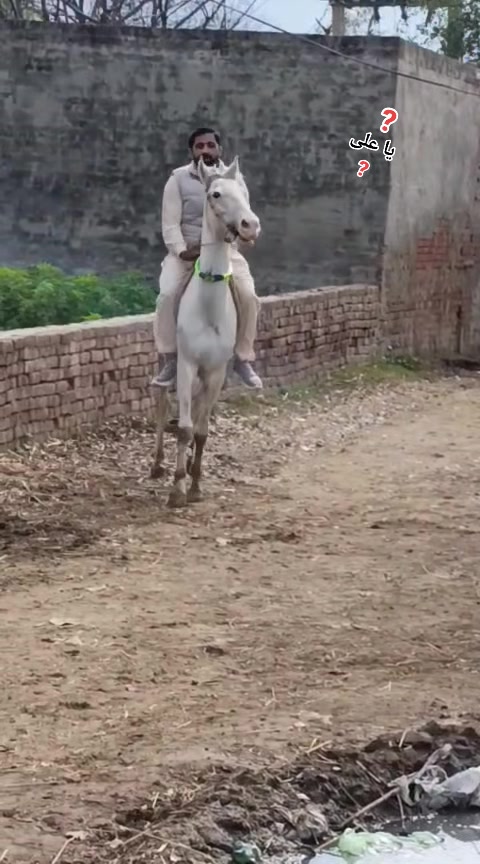 @Ali Riasat