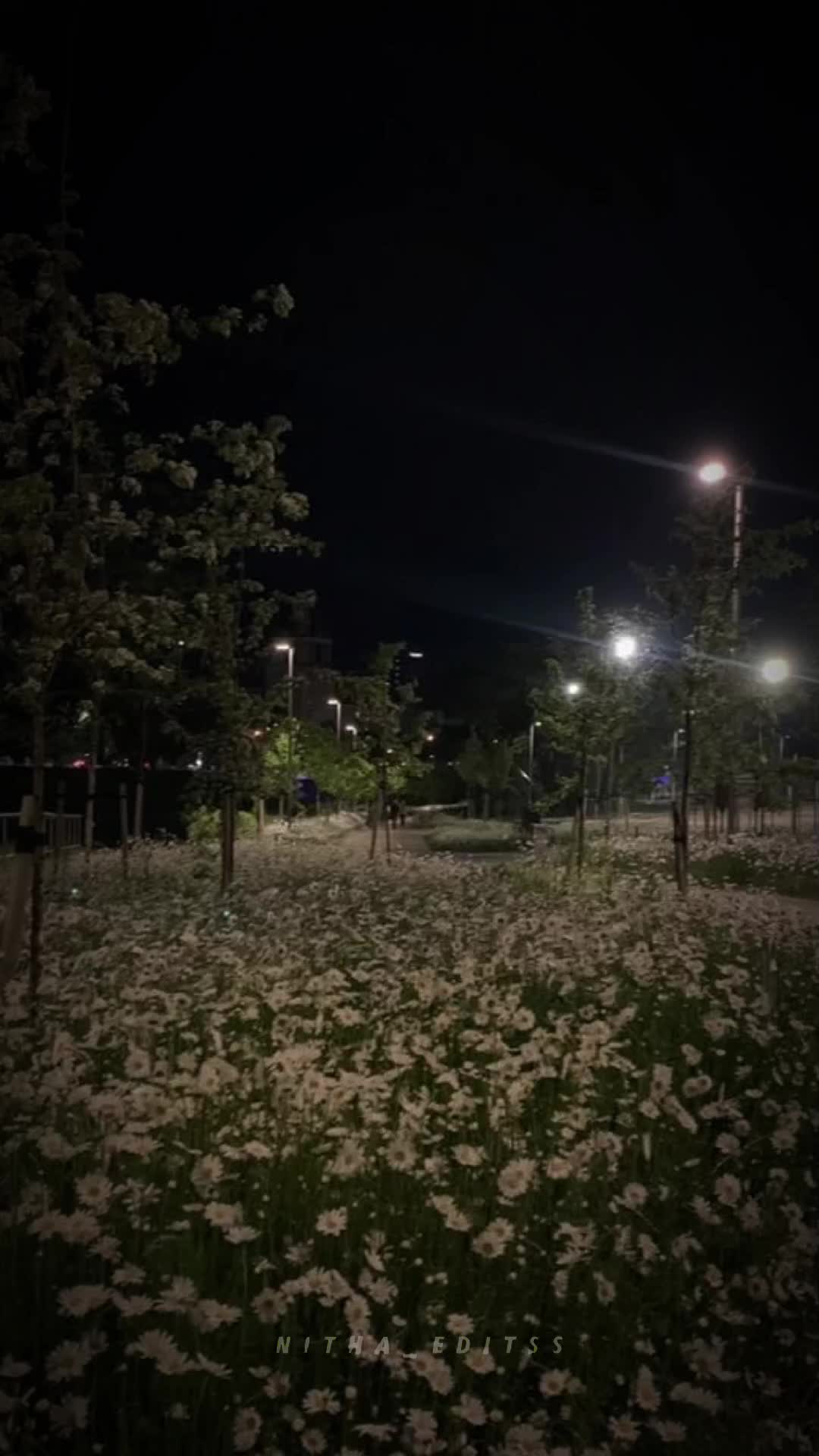@❥𝓟𝓾𝓷𝓲𝓽𝓪🕊