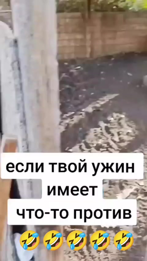 @Дэнчик Кэт