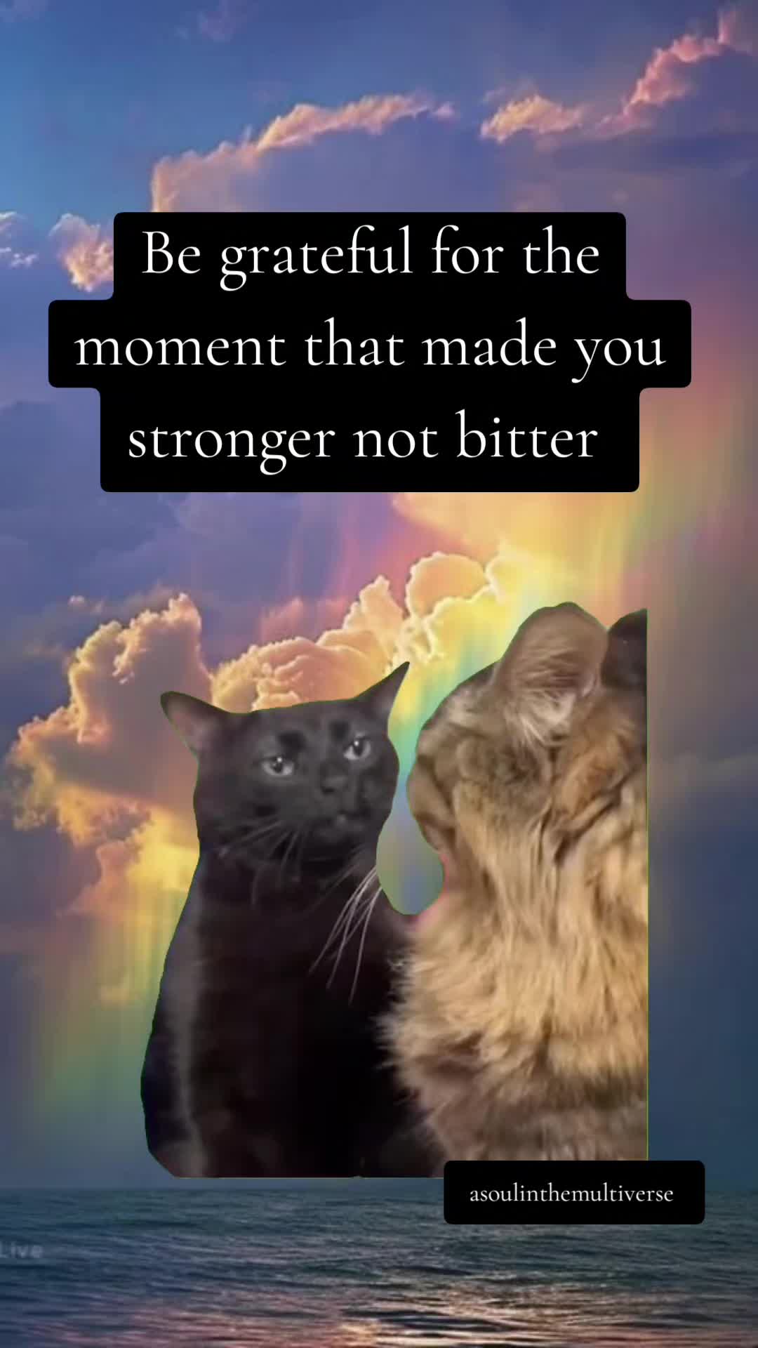 @A Soul in the Multiverse