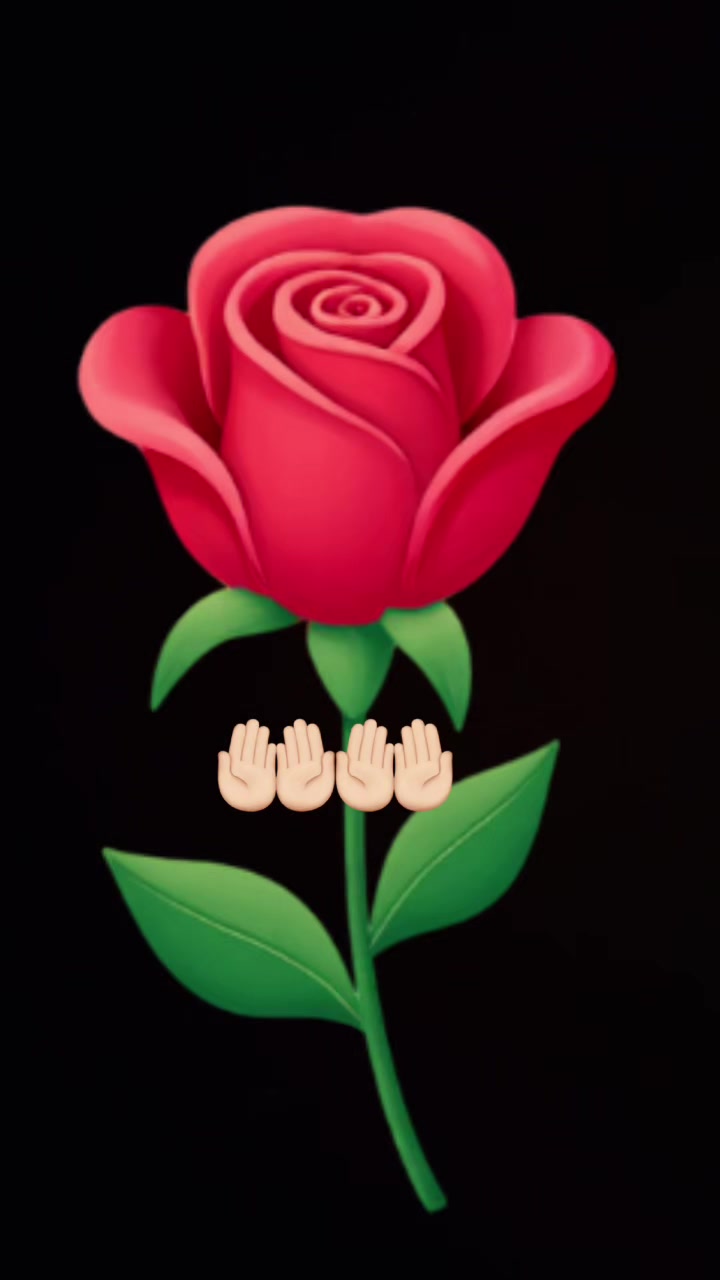 @Bebo collection