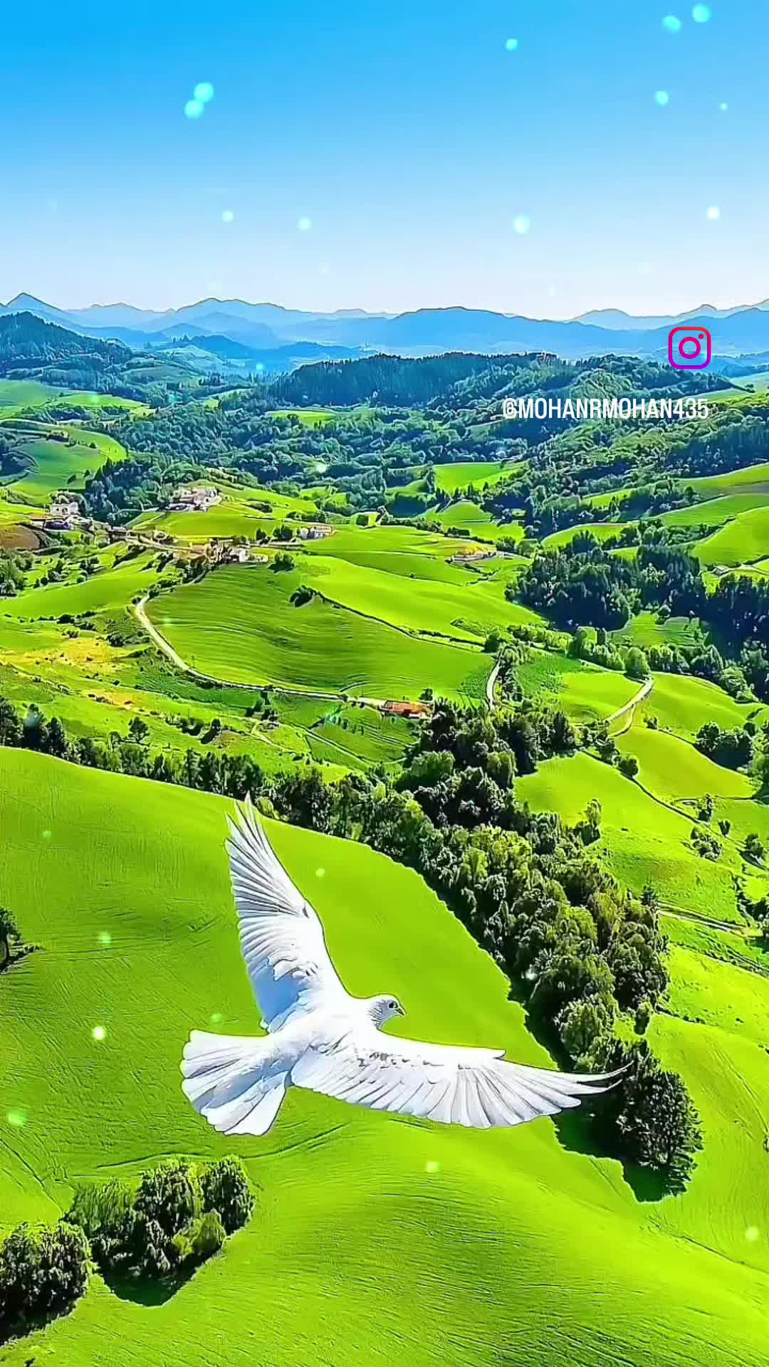 @Chandrani🇱🇰🇨🇭