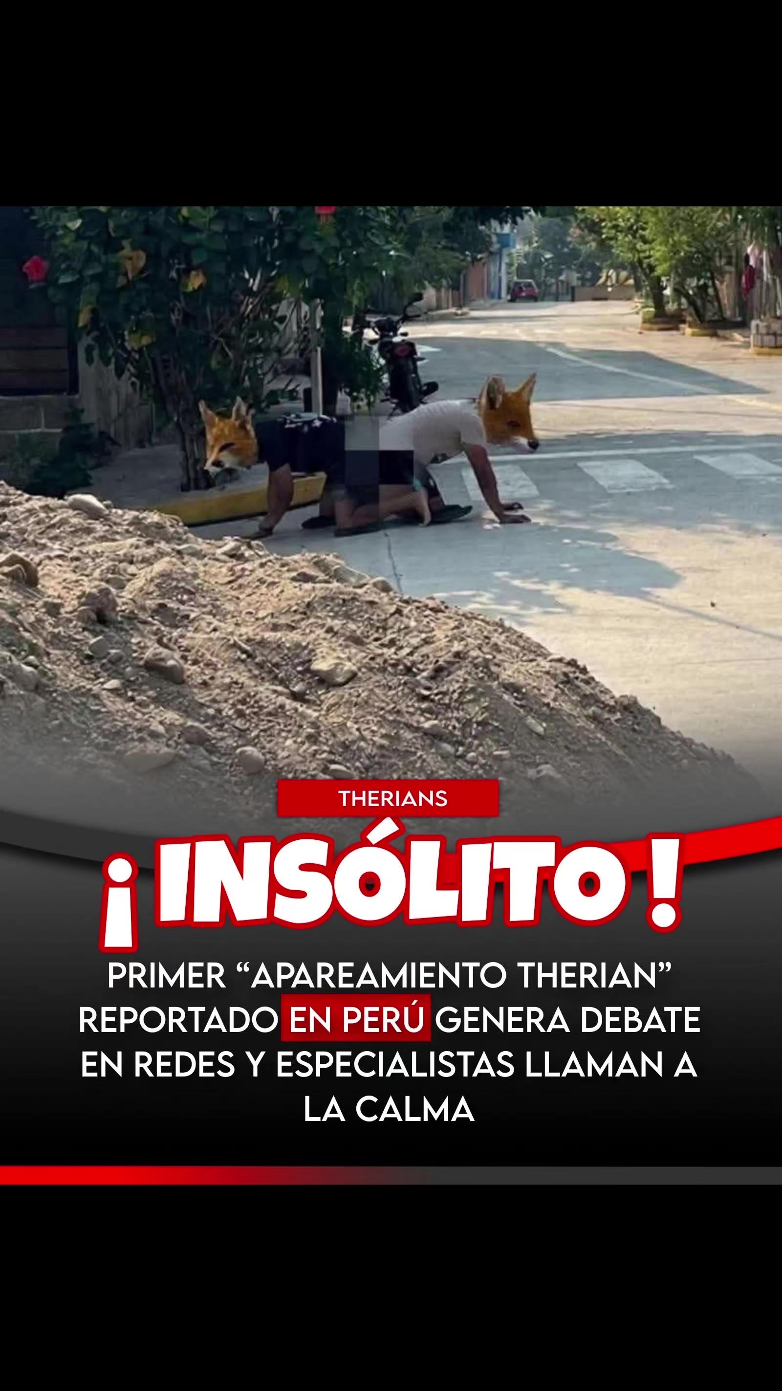 @Luigui Lobo P&eacute;rez