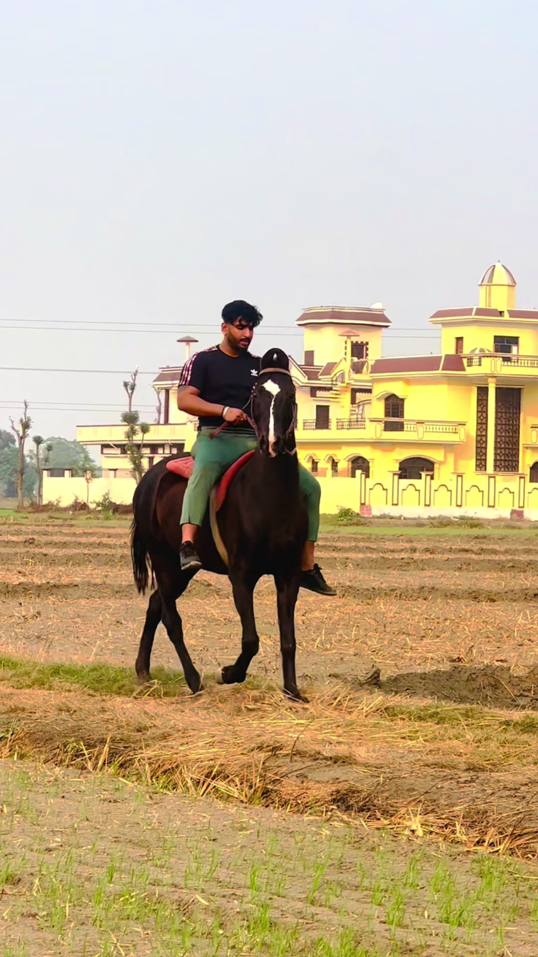 @Onkar Singh