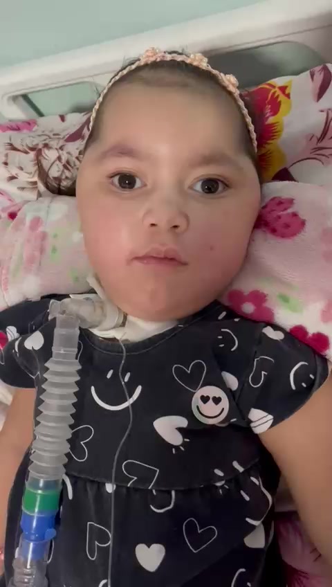 @MARIA J&Uacute;LIA OFICIAL🙏🧬💜