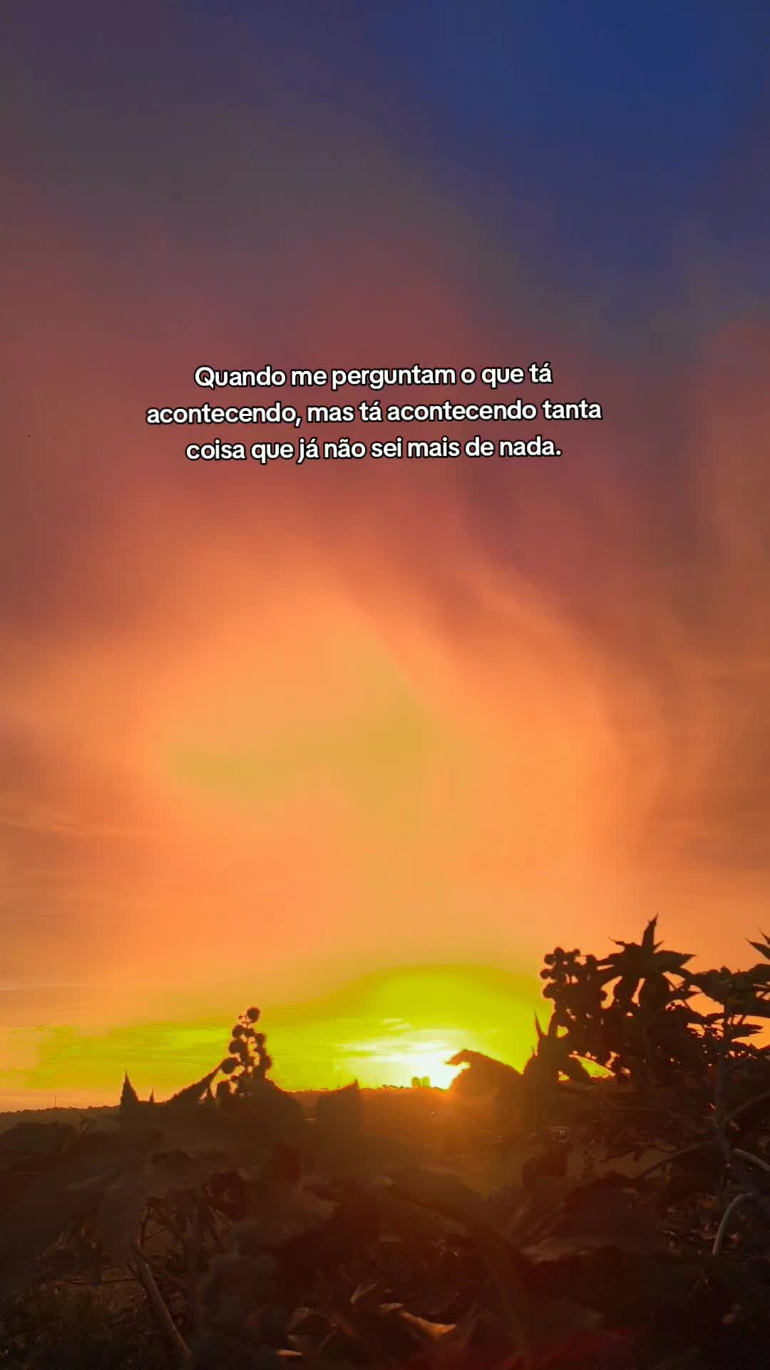 @Carlos Martins