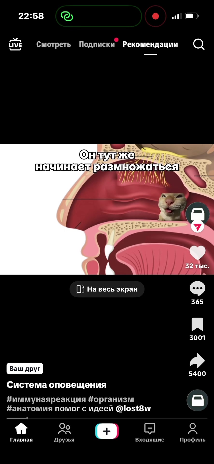 @bayohet