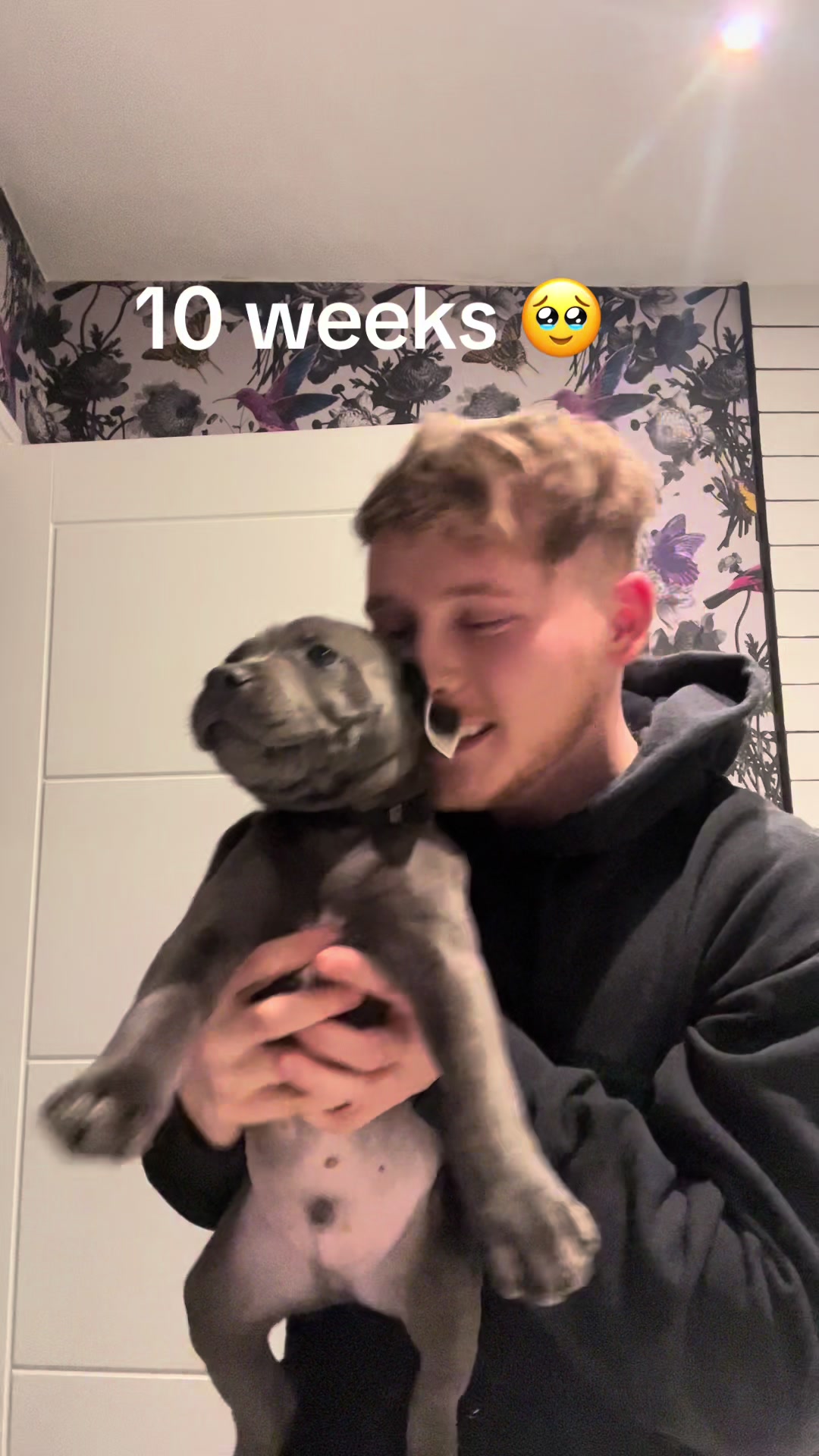 @owen.blythe1