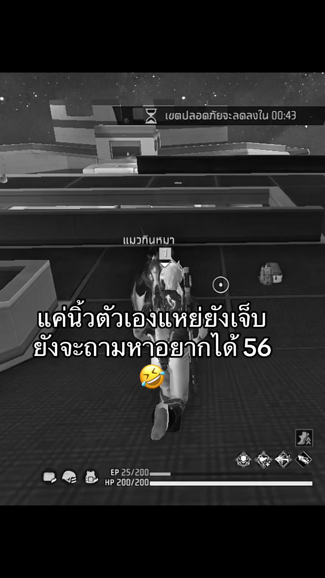 @แมวไม่มีเจ้าของงง.