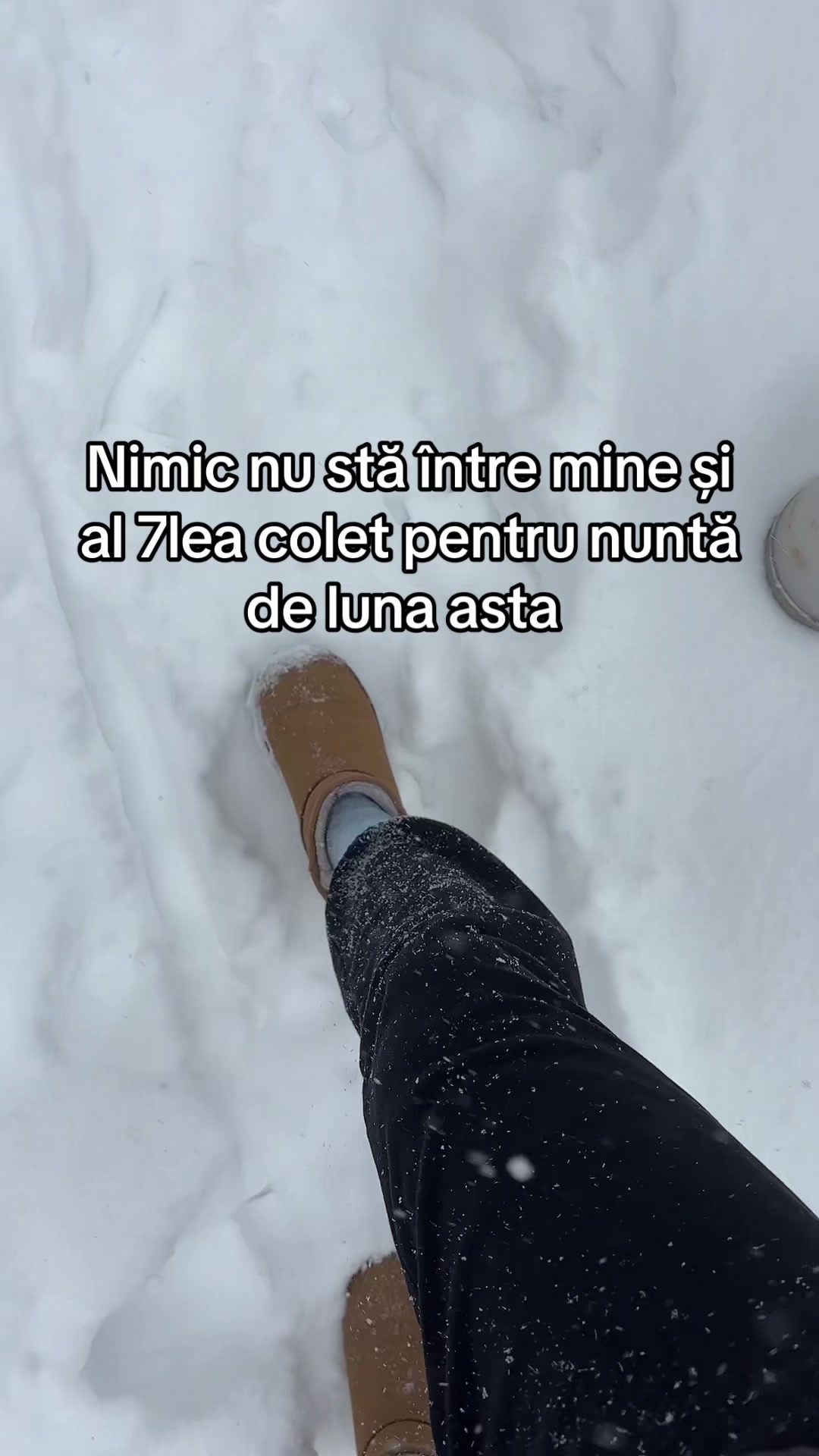 @AnaTeodora