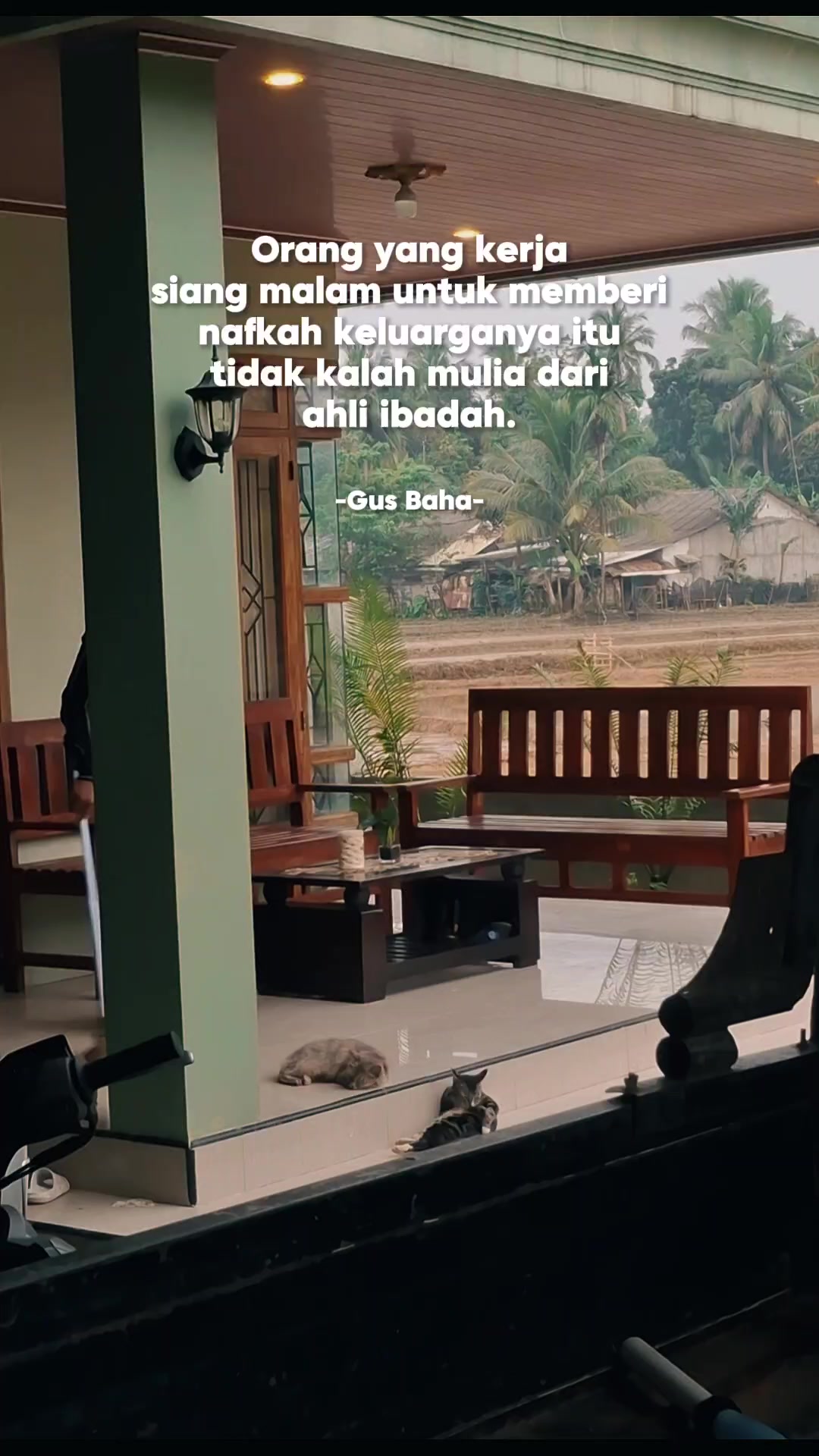 @Muhammad Nur