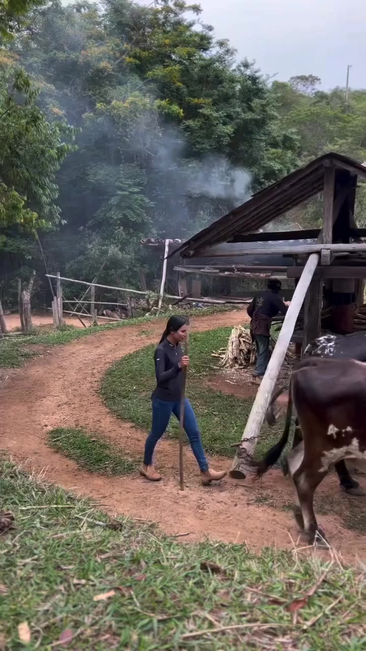 @Laudimiro Bezerra da Silva