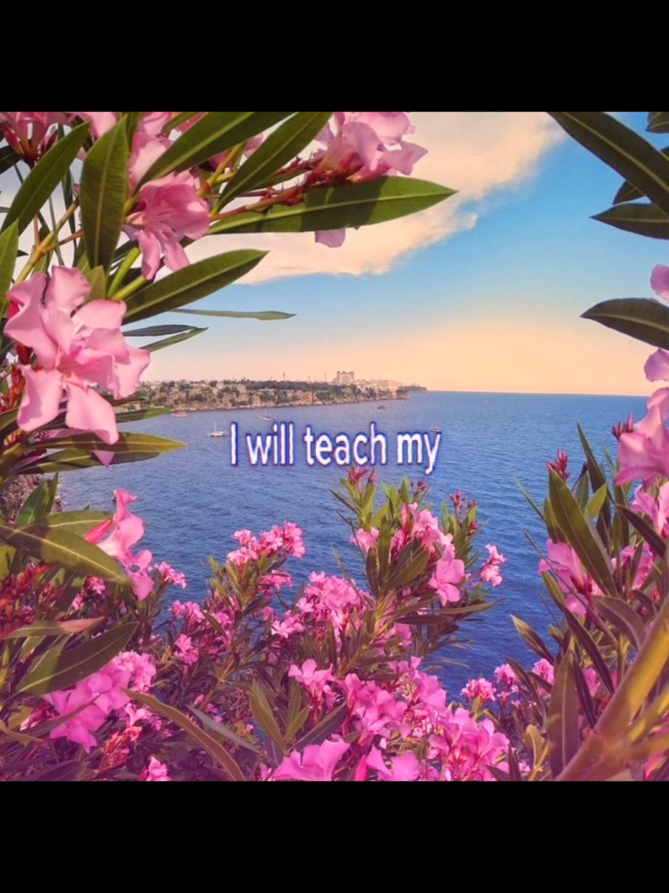 @𝙺𝚒𝚠𝚒𝚣 🥝