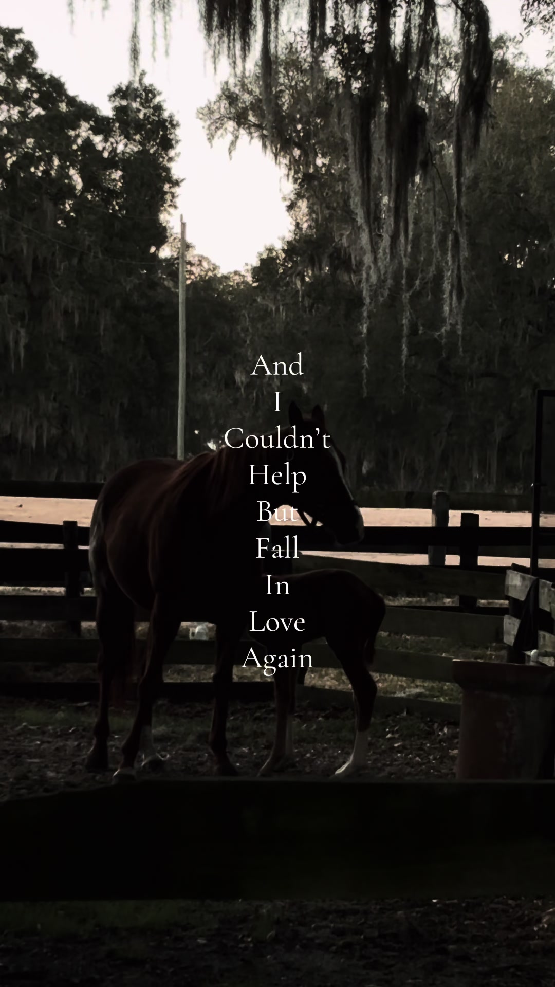 @countryroots_6_7_