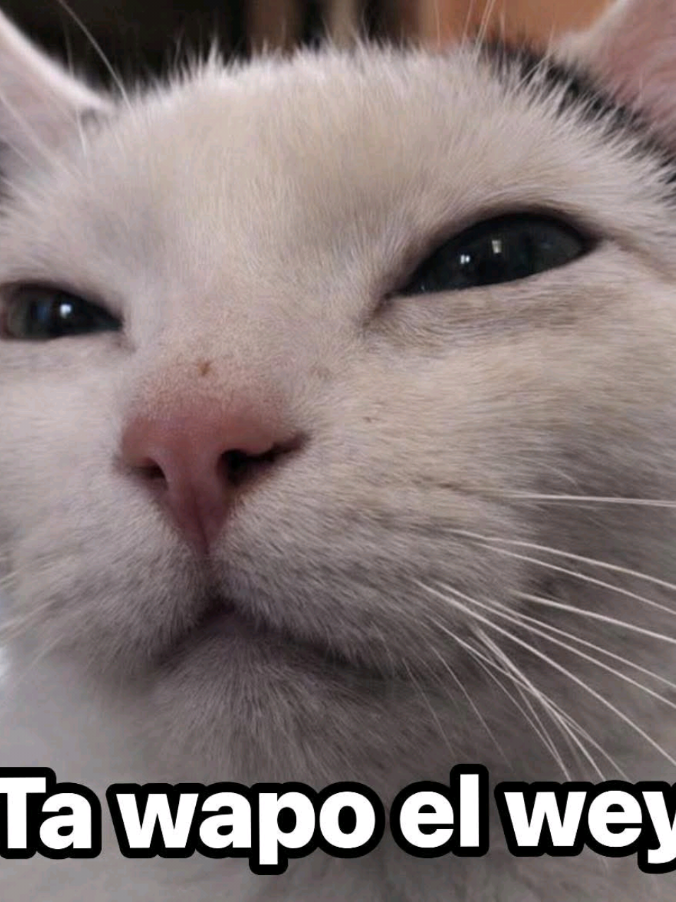 @Oliver 3