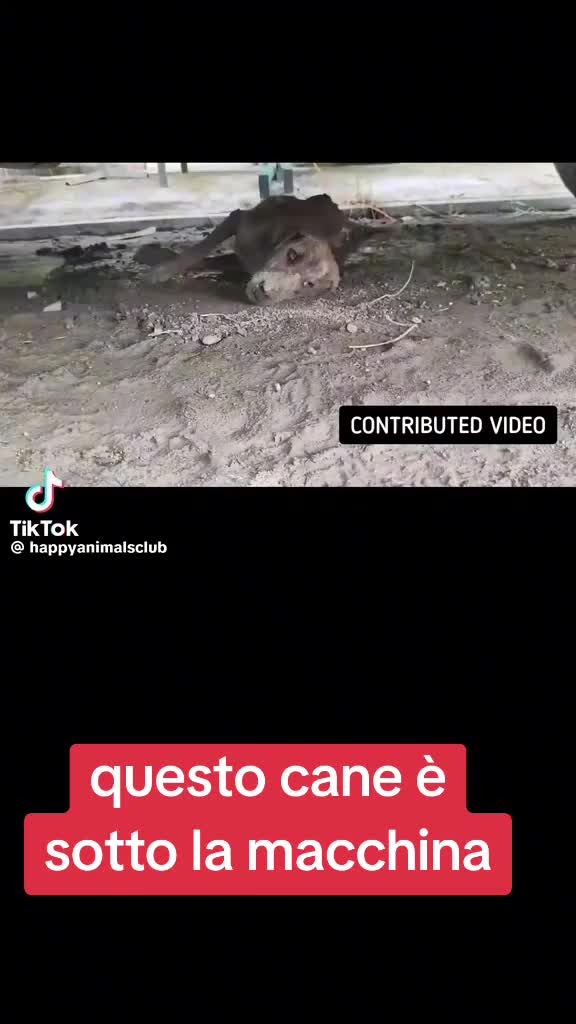 @Francesco Fotia