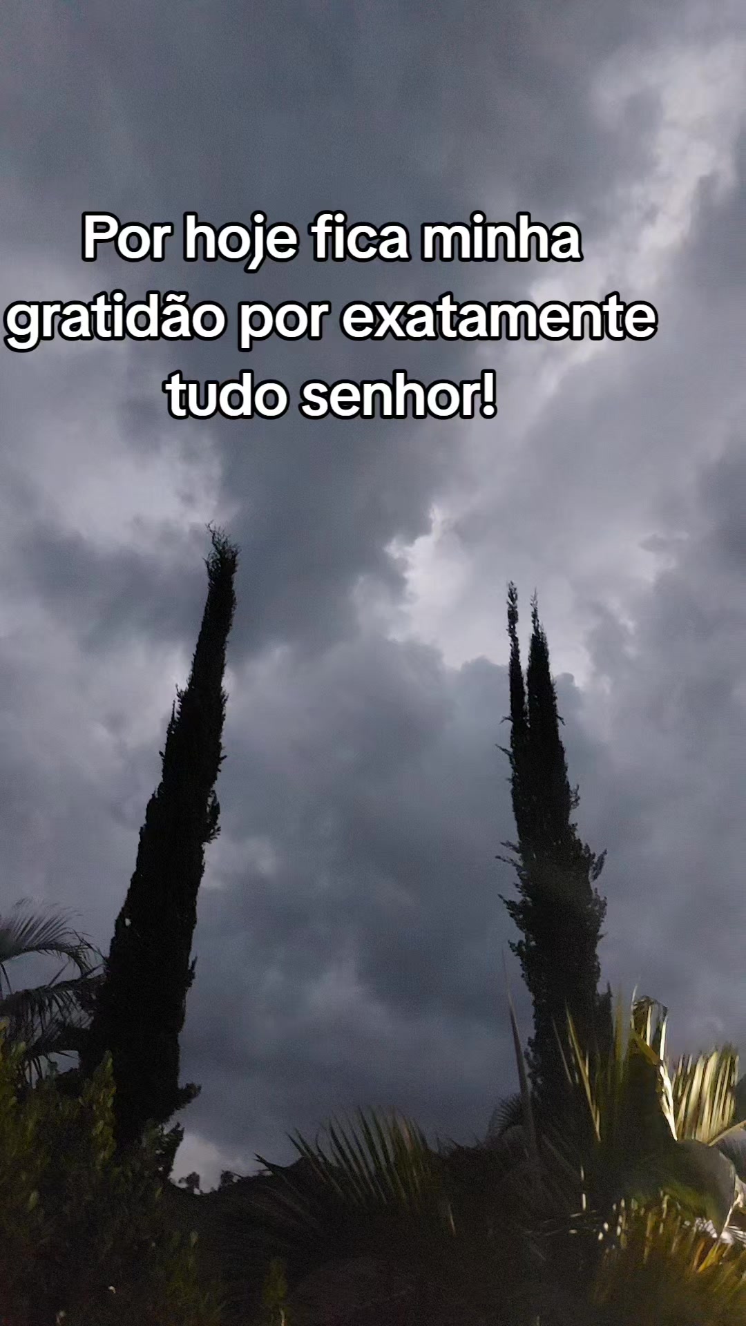 @@frases.que.coleciono❤️