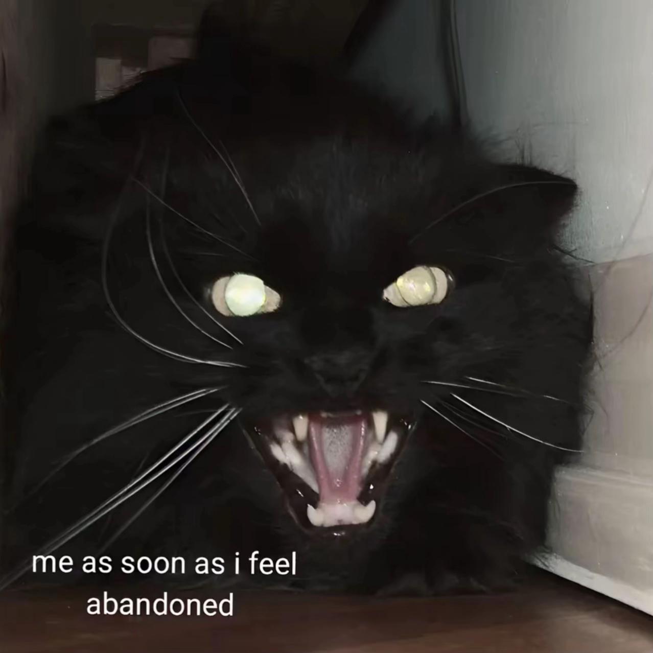 @🦋🥀🌙
