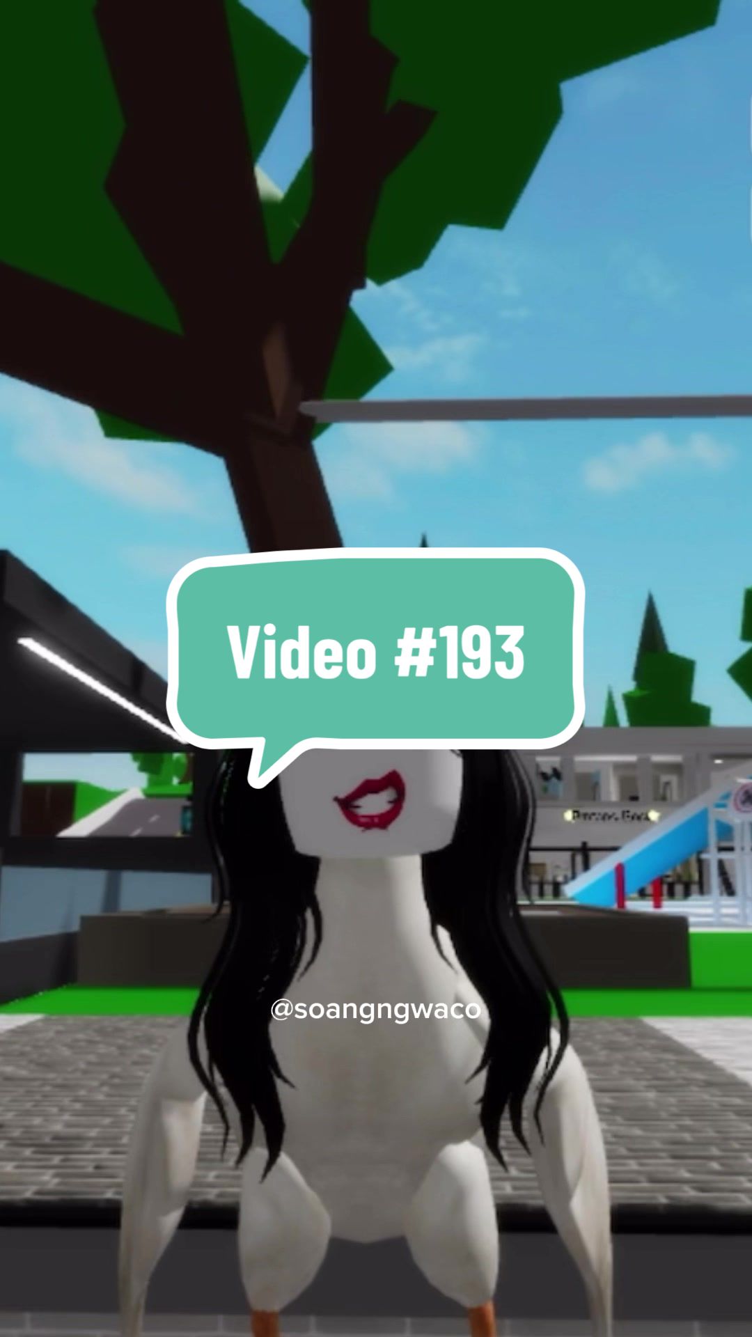 @SoangNgwaco