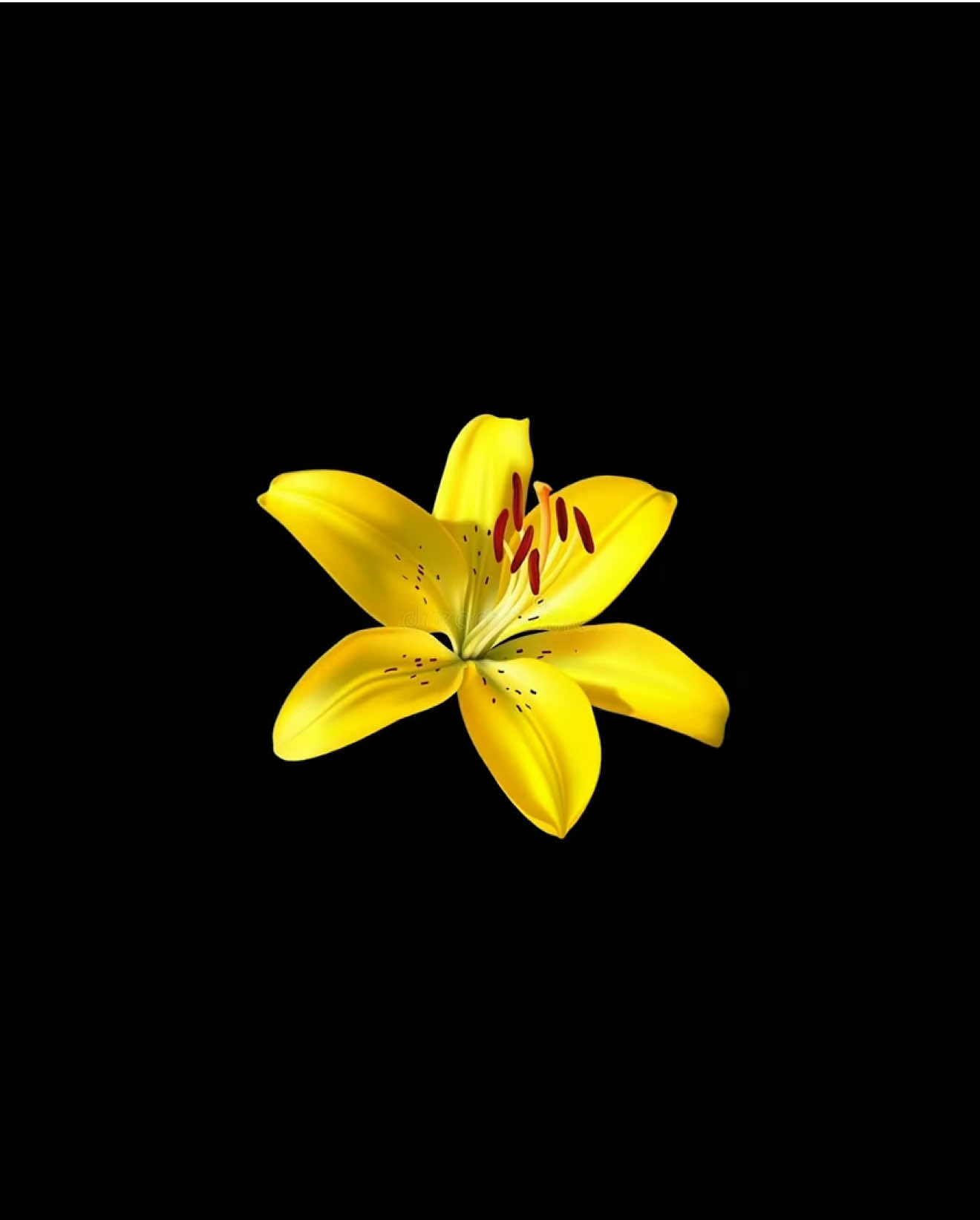 @ᵐʳ.ᵉᵍᵒ ♫