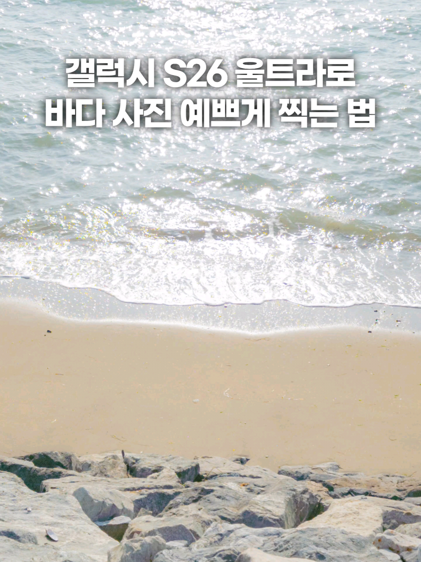 @주니웨어 주니