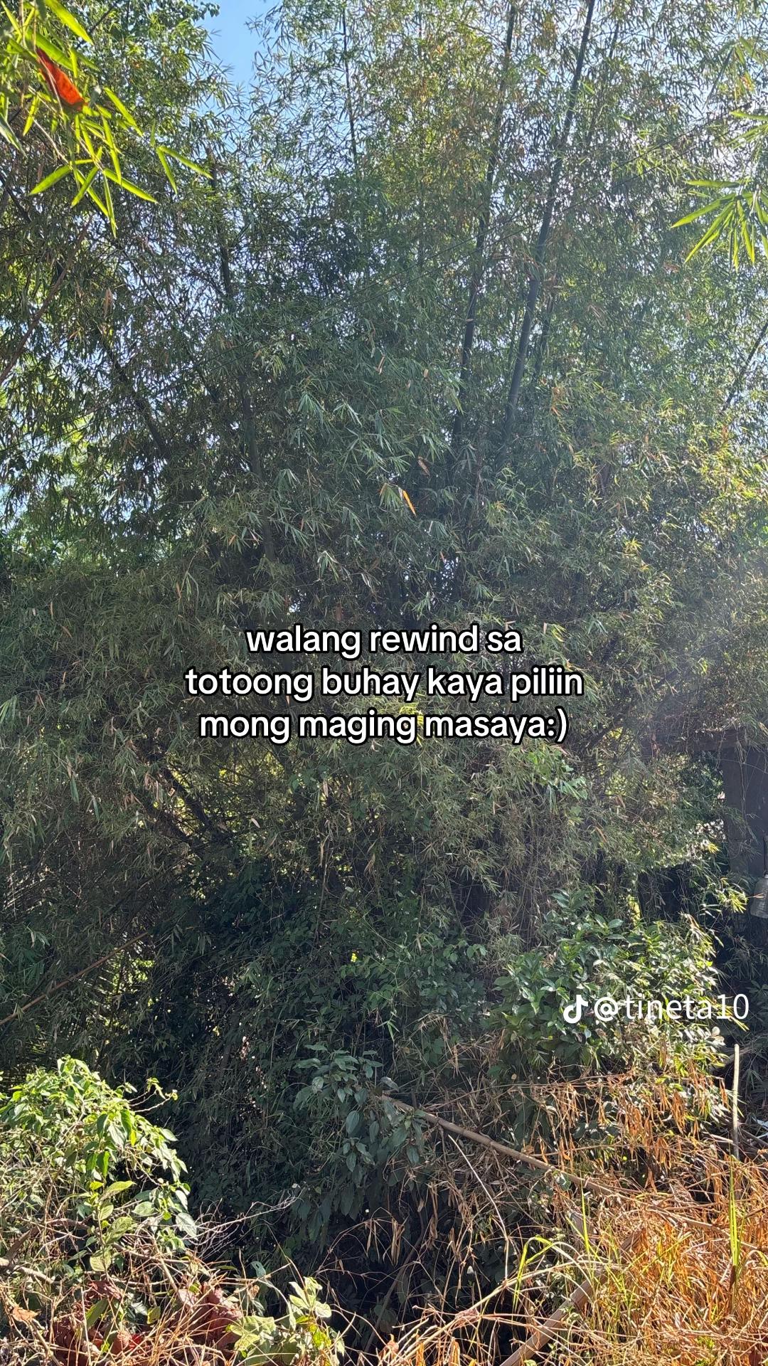 @gela official