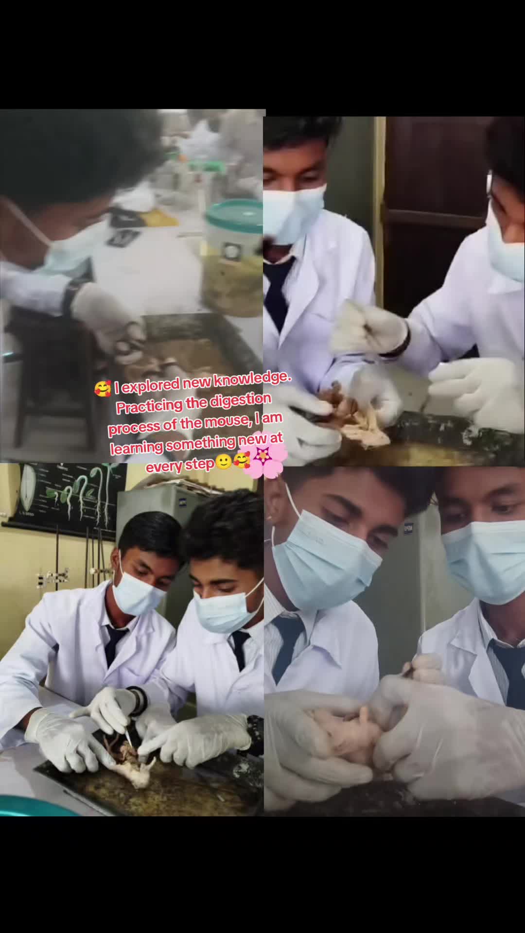 @biology student🫁🫀