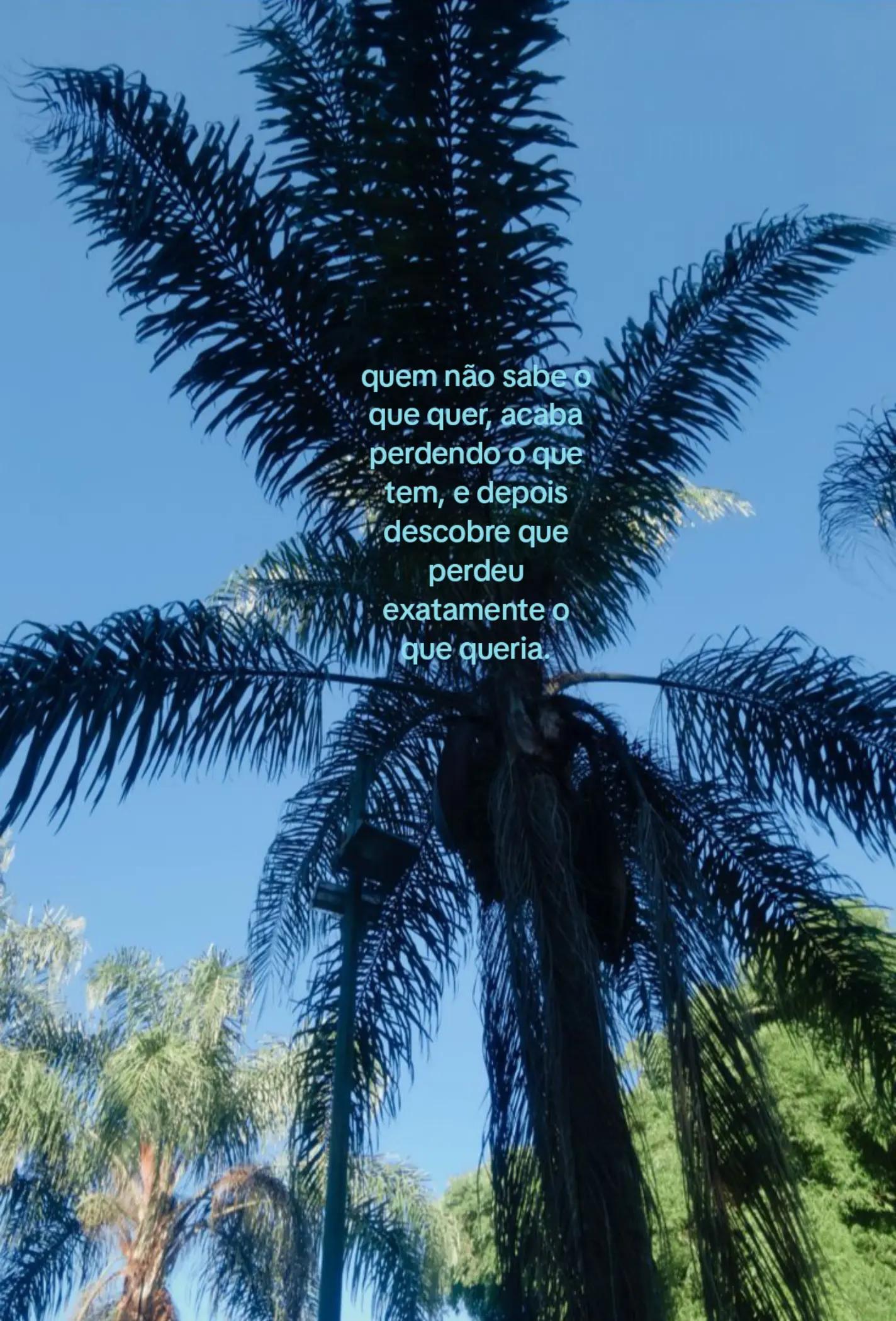 @lulu
