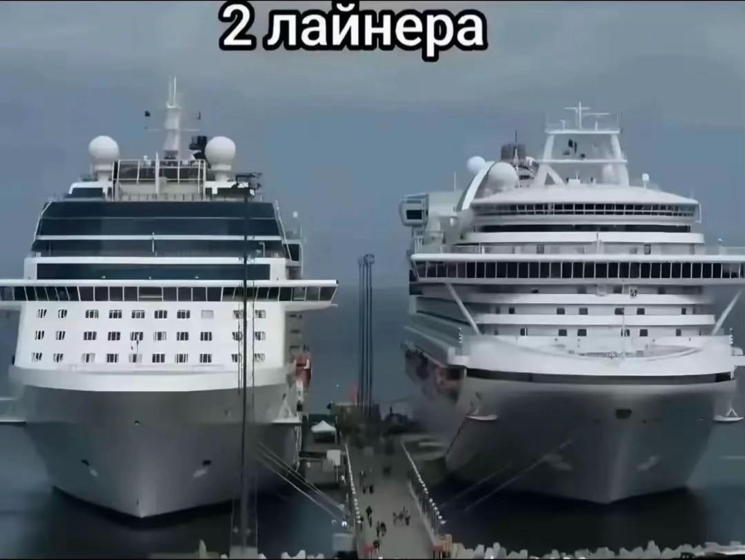 @Luxx_Polar