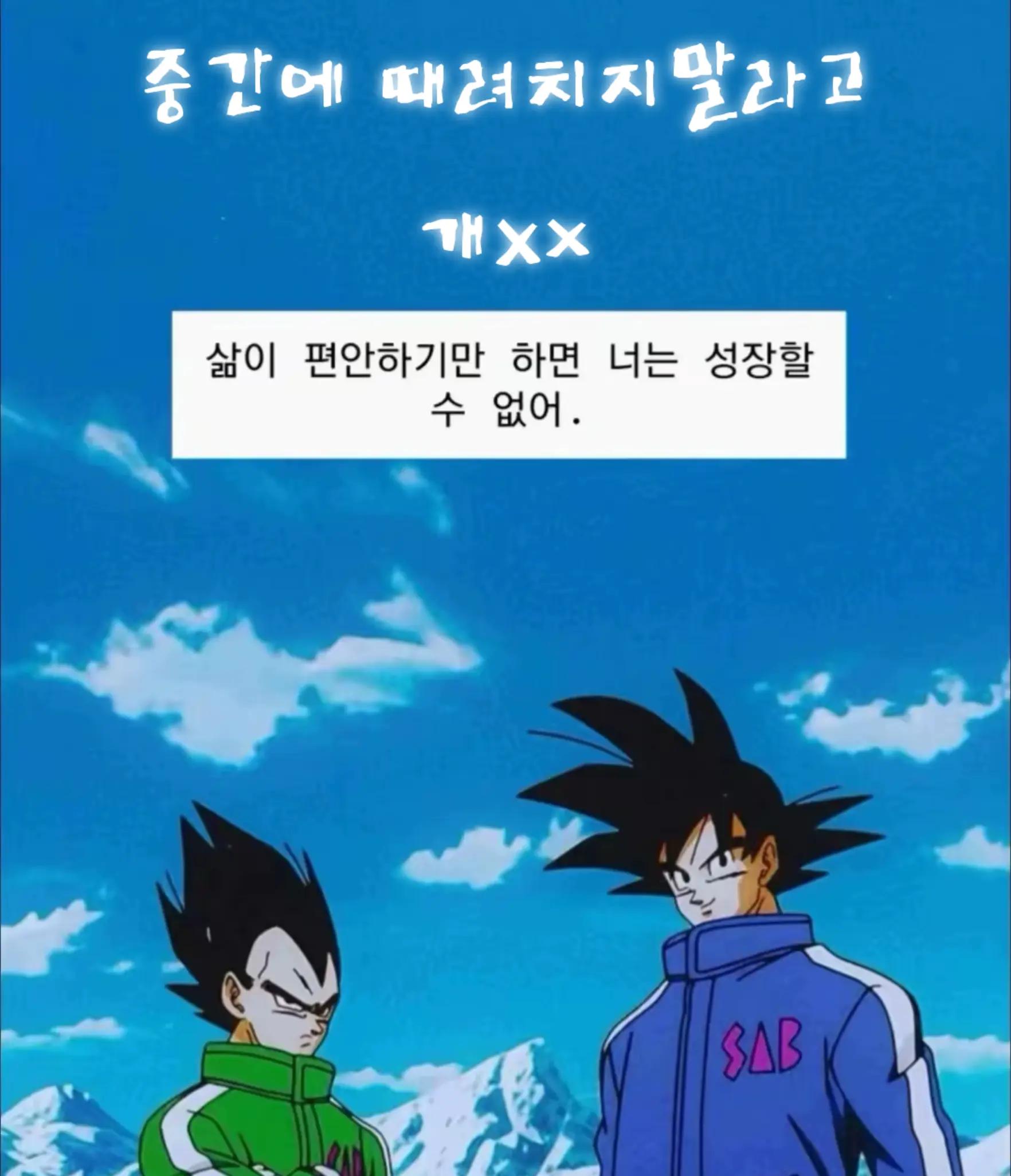 @감동TV