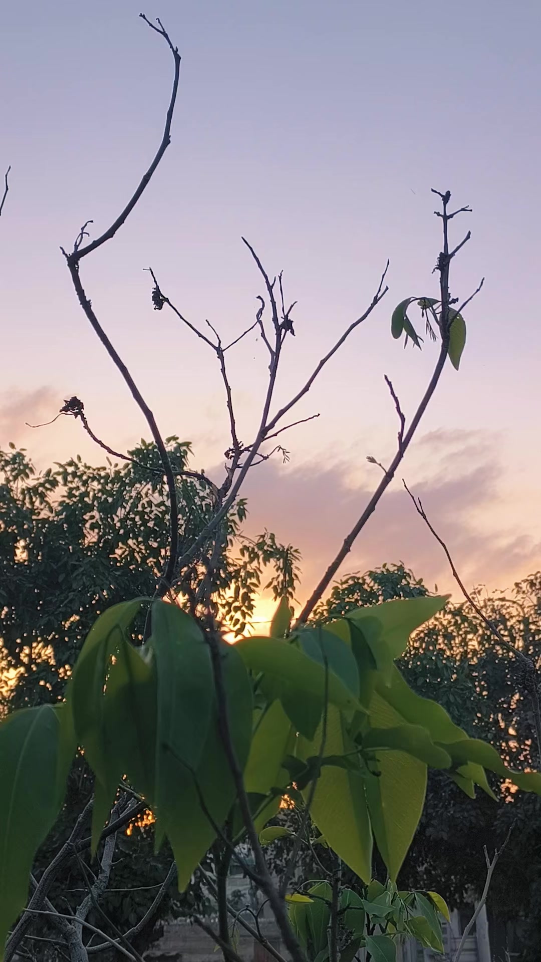 @🥀 روح پُوش