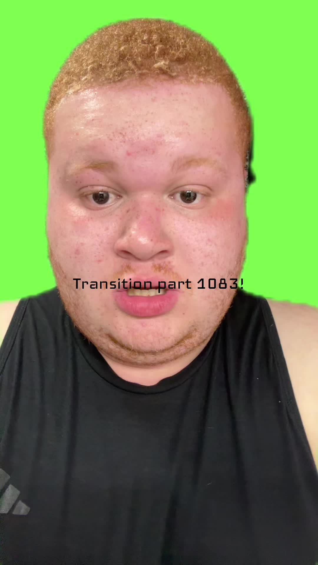 @TetrisFan2026 Studios