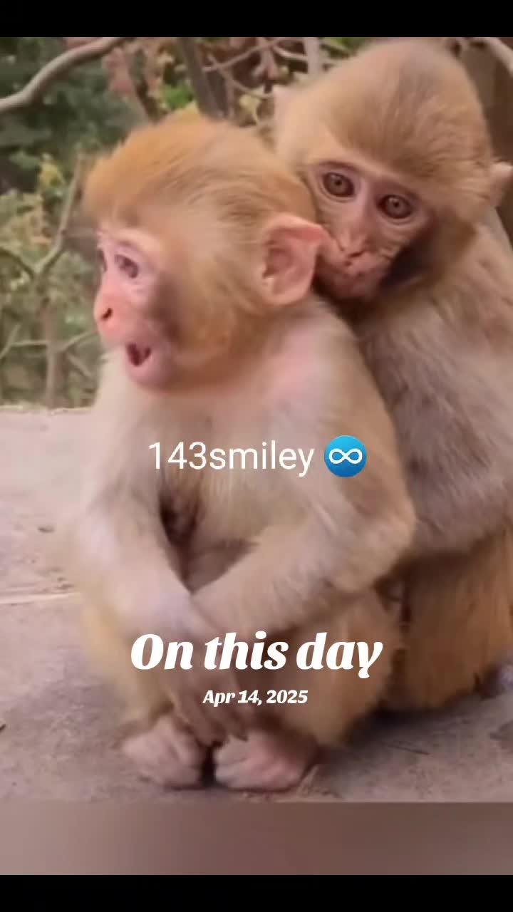 @👑Smiley143👑