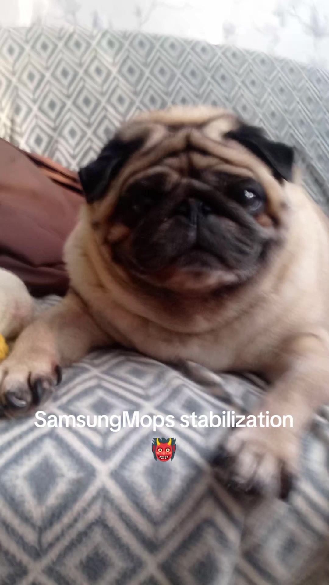 @tg: SamMops76