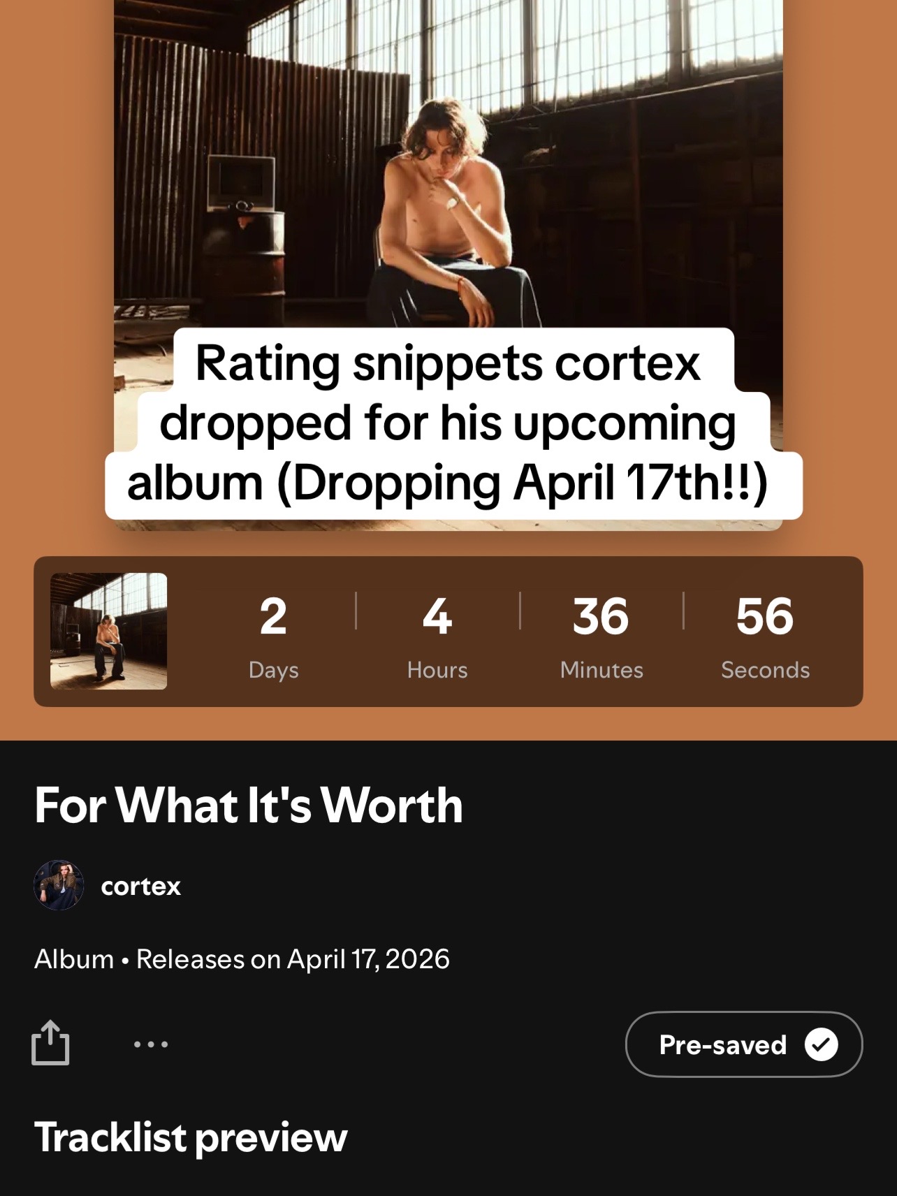@dailycortex