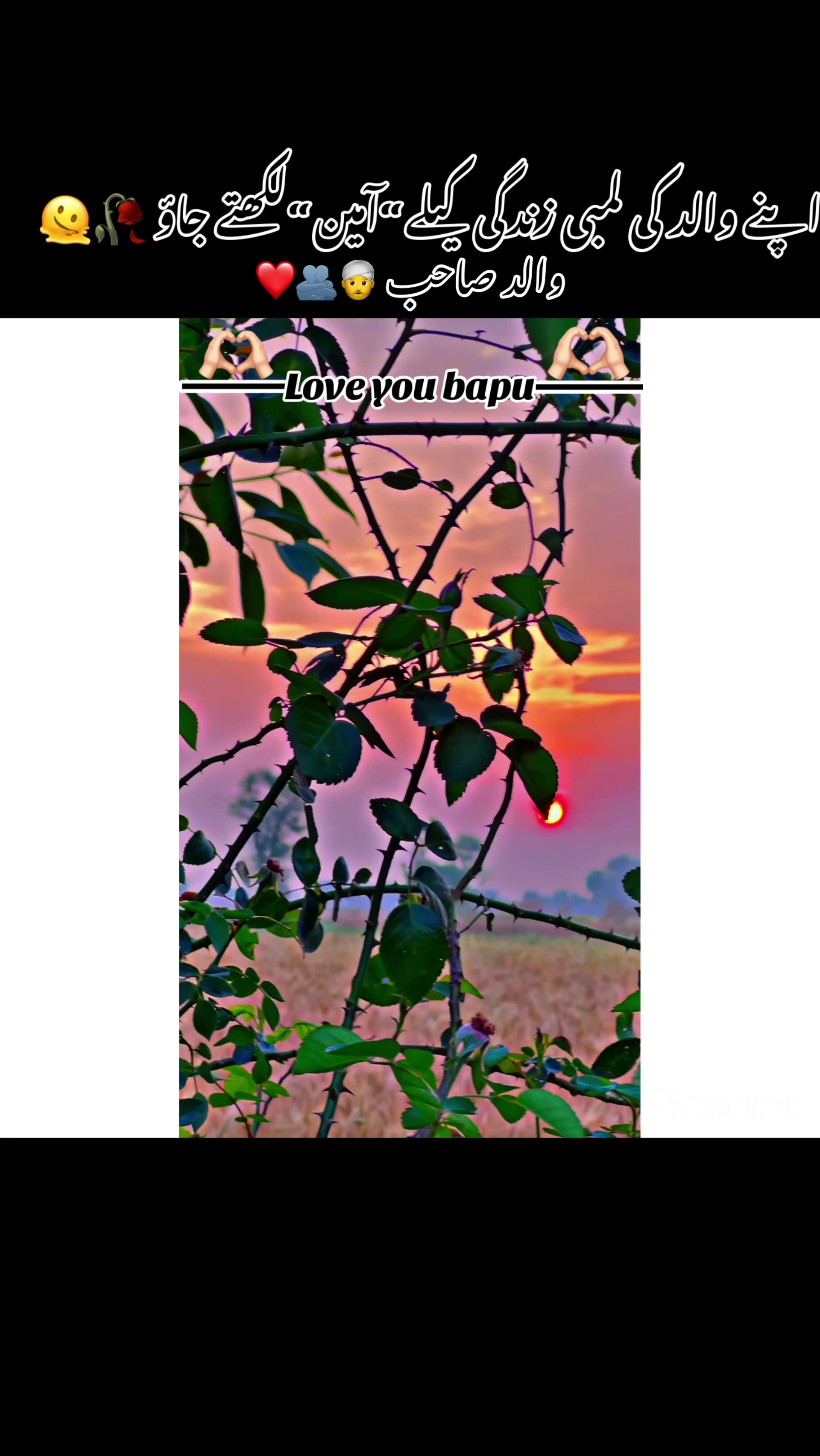 @🥀🪴Waقas 6آلہ🌾🌸