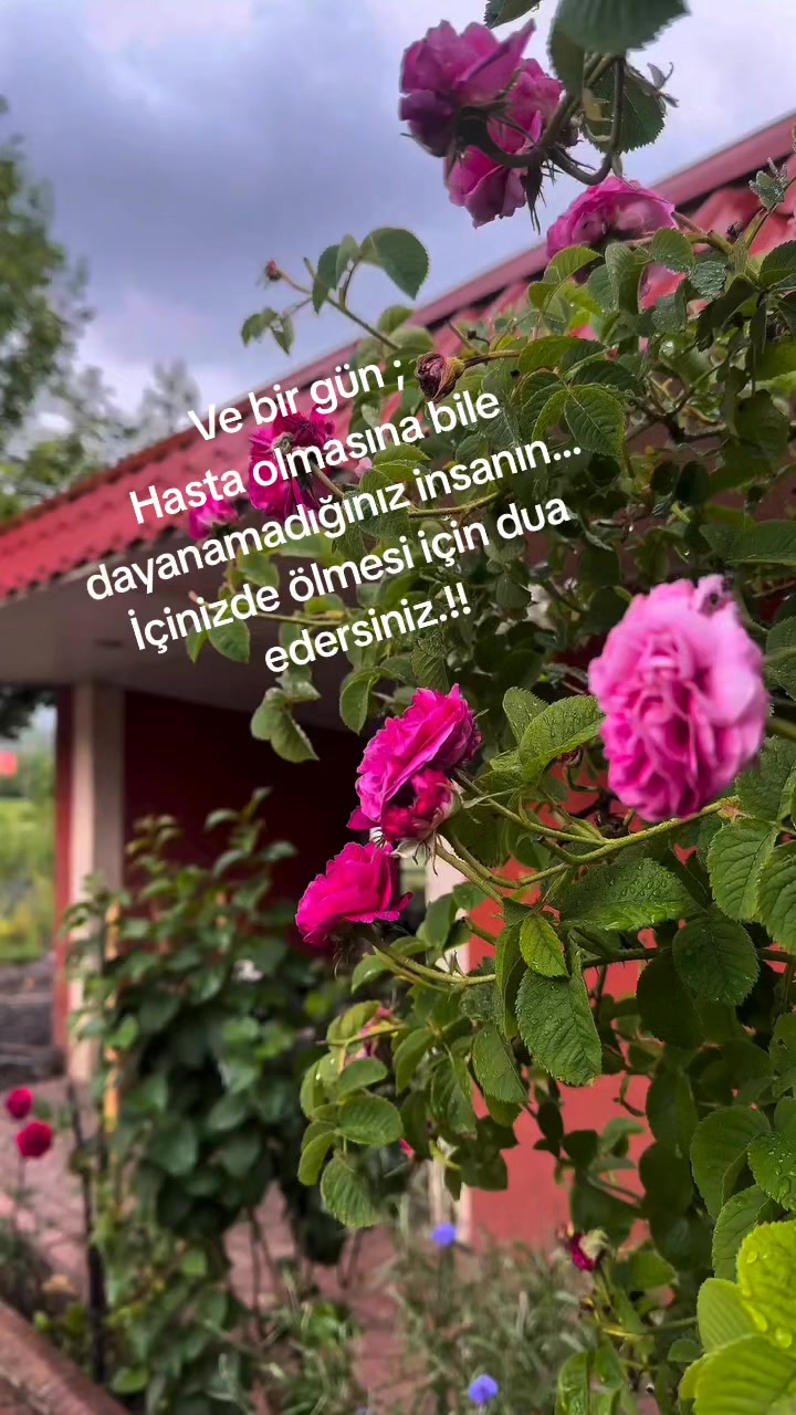 @06_yasemin_06