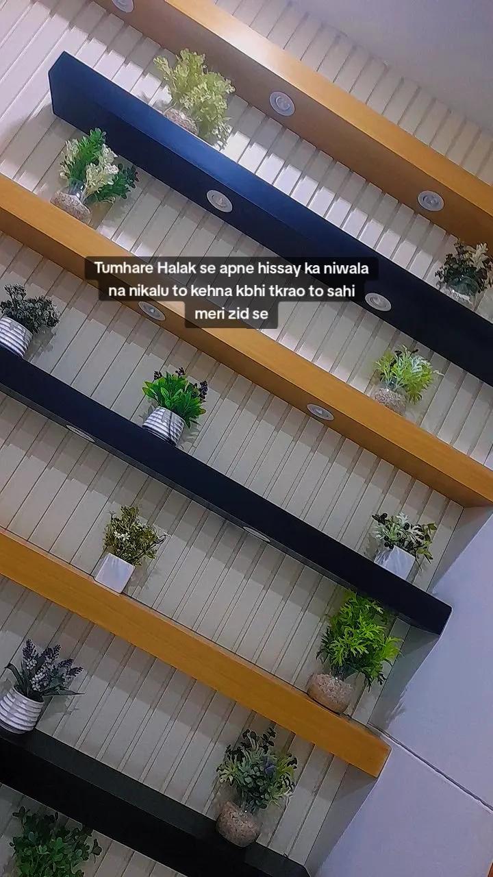 @Safa