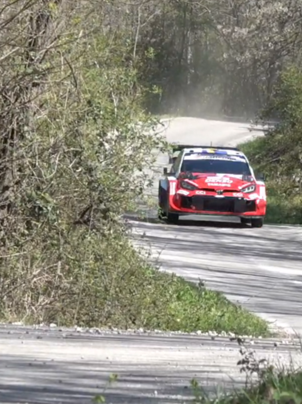 @LB77 Rally