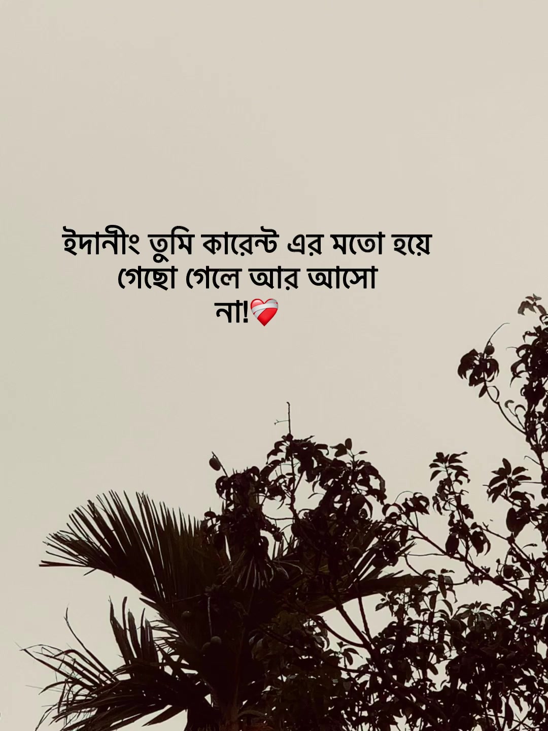 @Jit Baiddya🧃