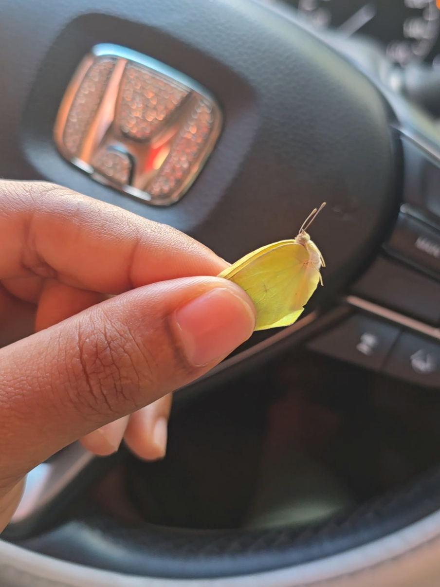 @🦋 Slaya and Josh 🩵