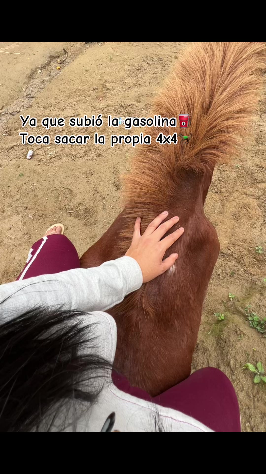 @DiDi✨