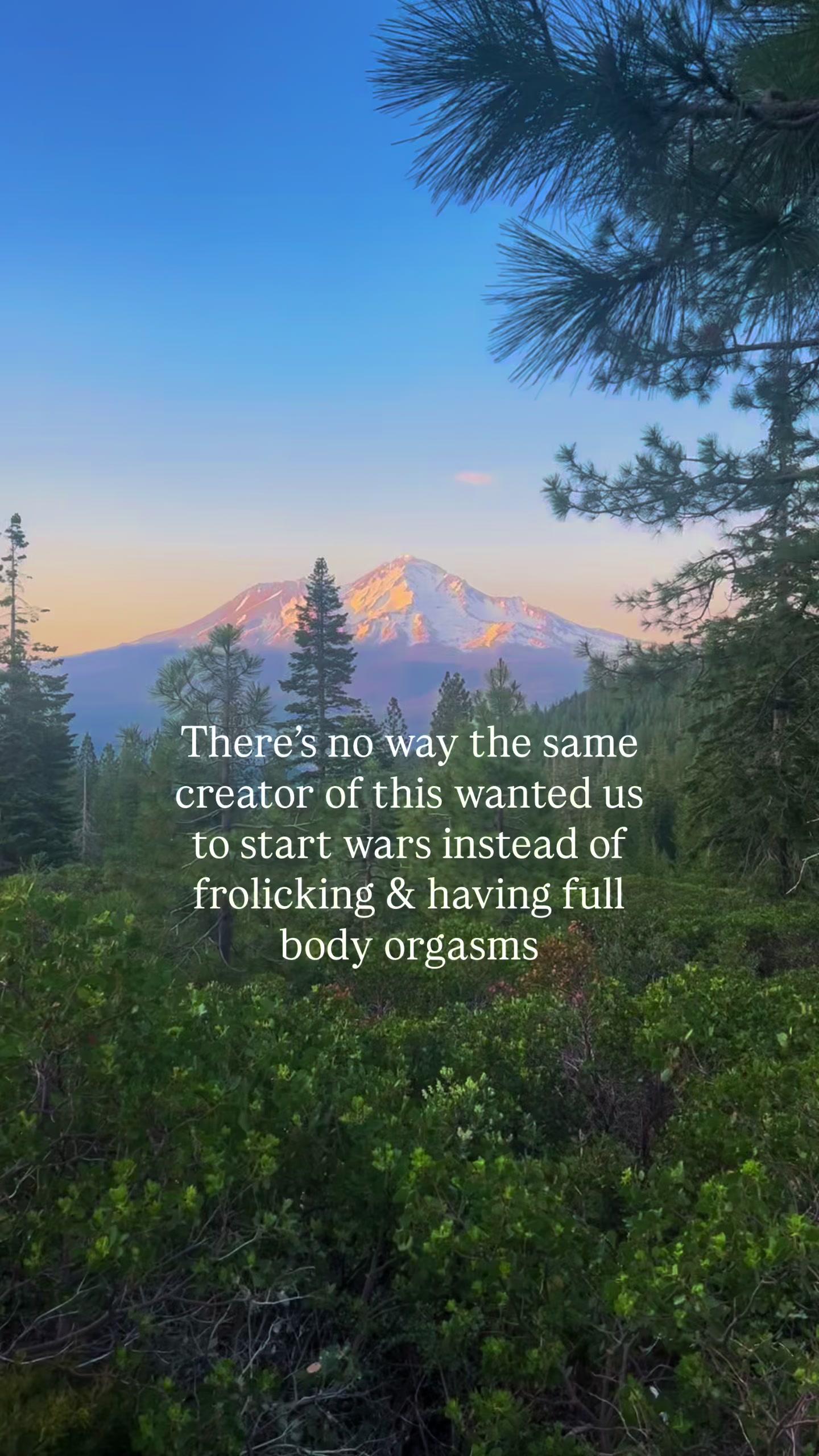 @Shapeshiftingshakti