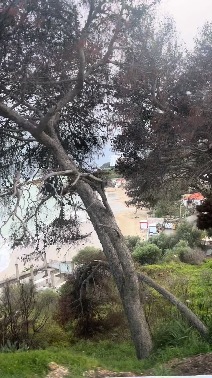 @chaimaa.travels