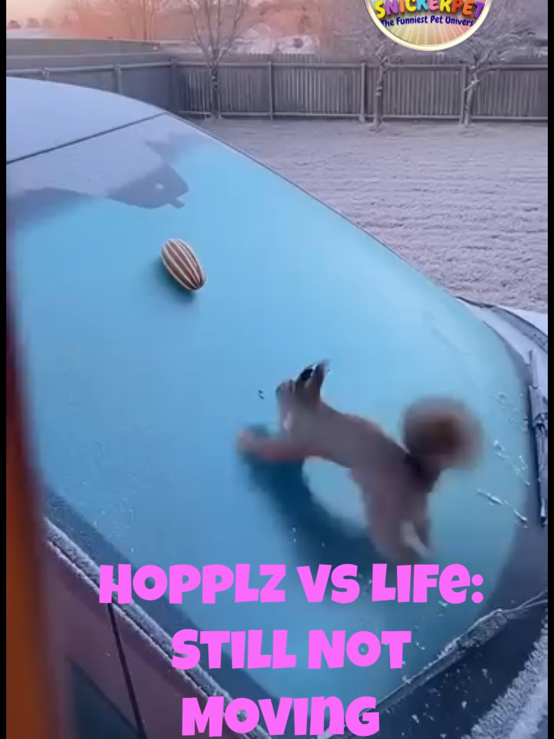 @Snickerpet