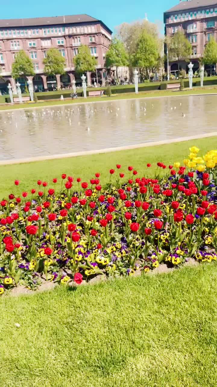 @user4948005997470