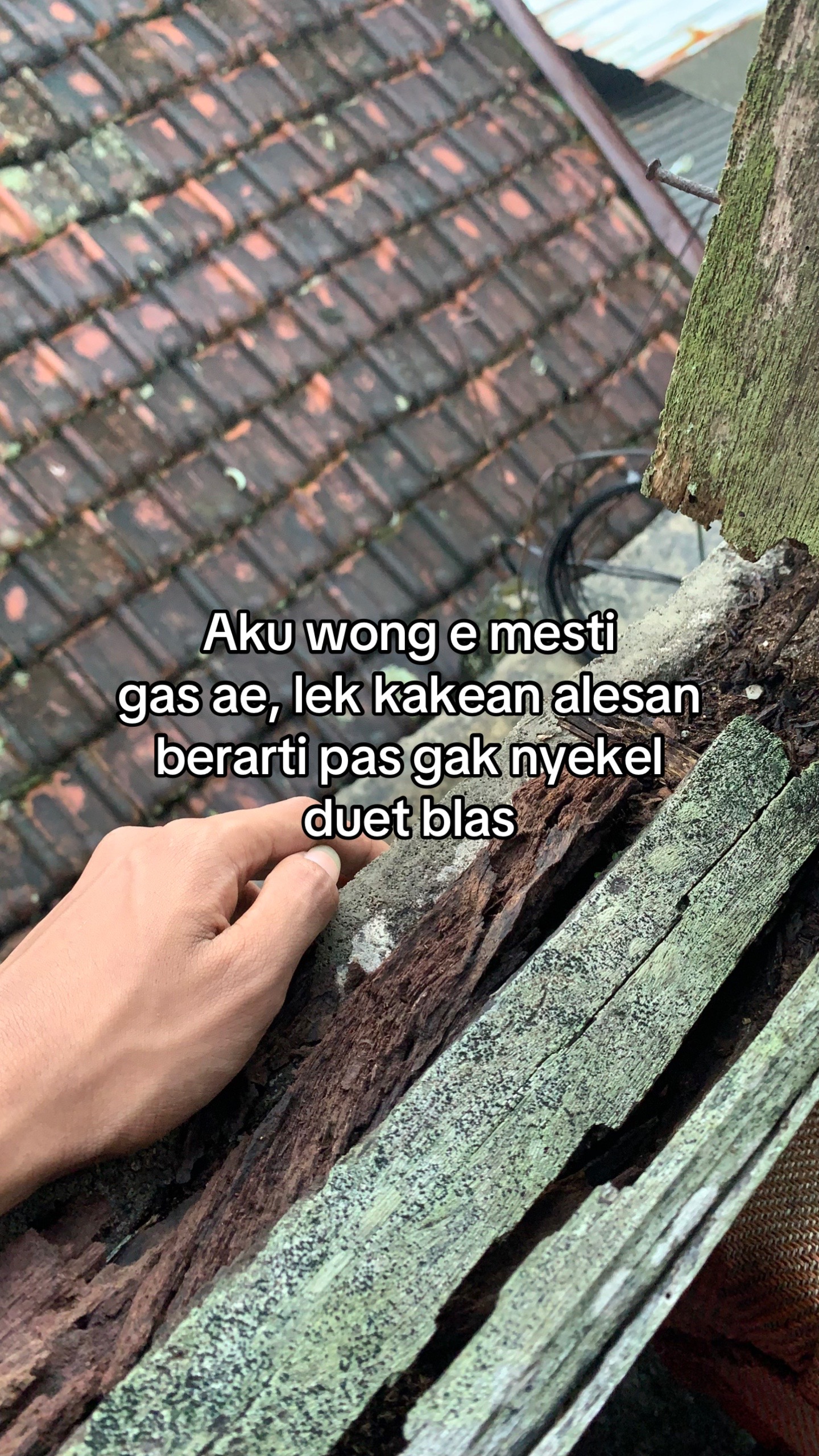 @𝙂𝙖𝙡𝙖𝙣𝙜𝙧𝙡𓂺