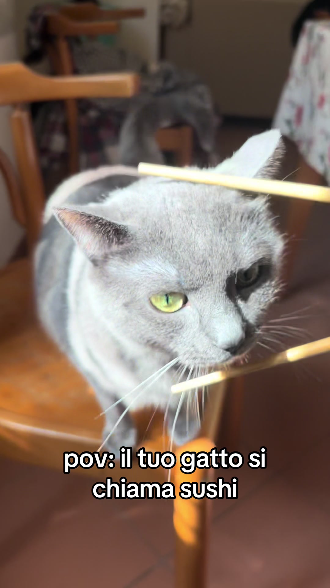 @cate